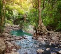 Black Gorges National Park